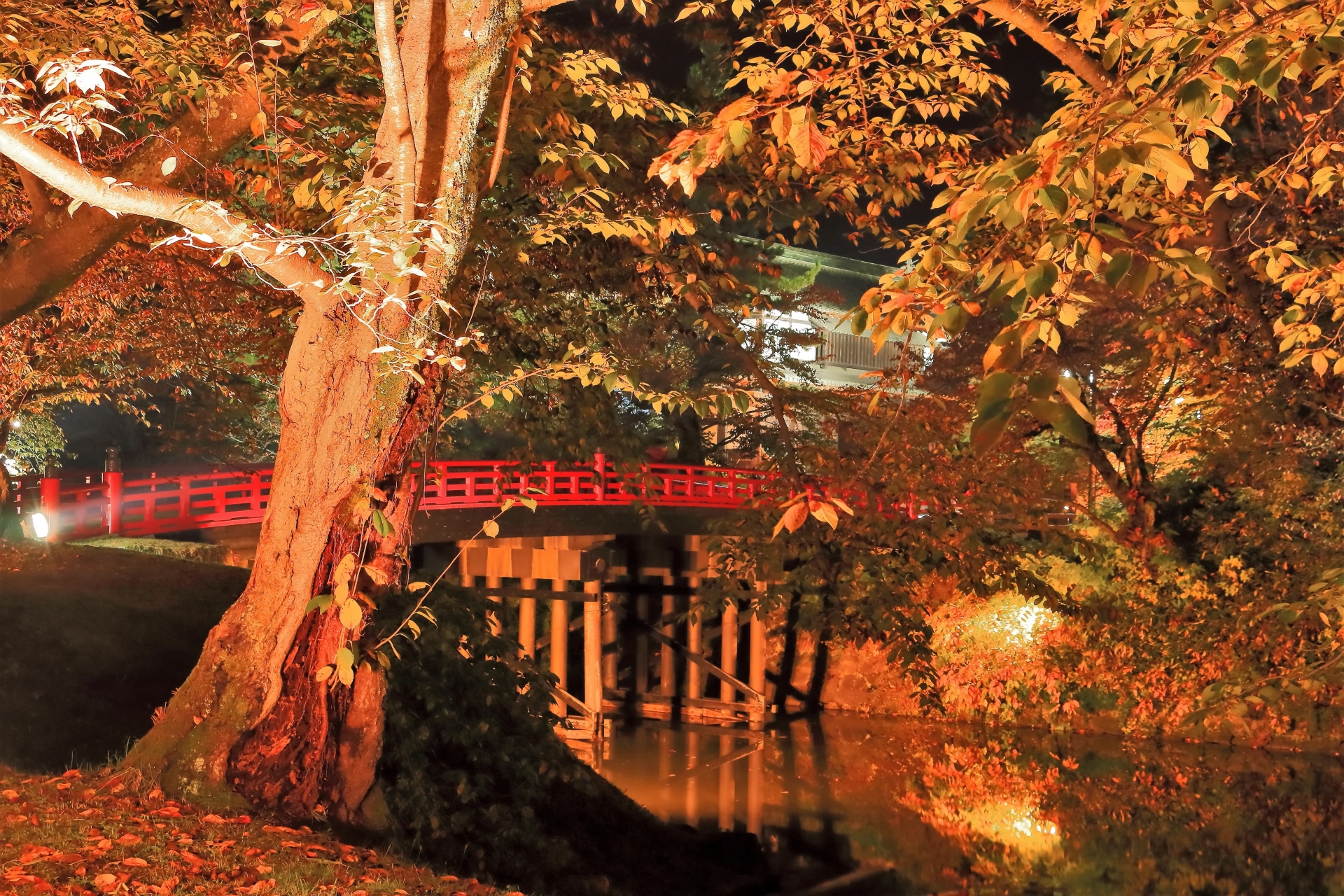 Le parc d'Hirosaki illuminé en automne