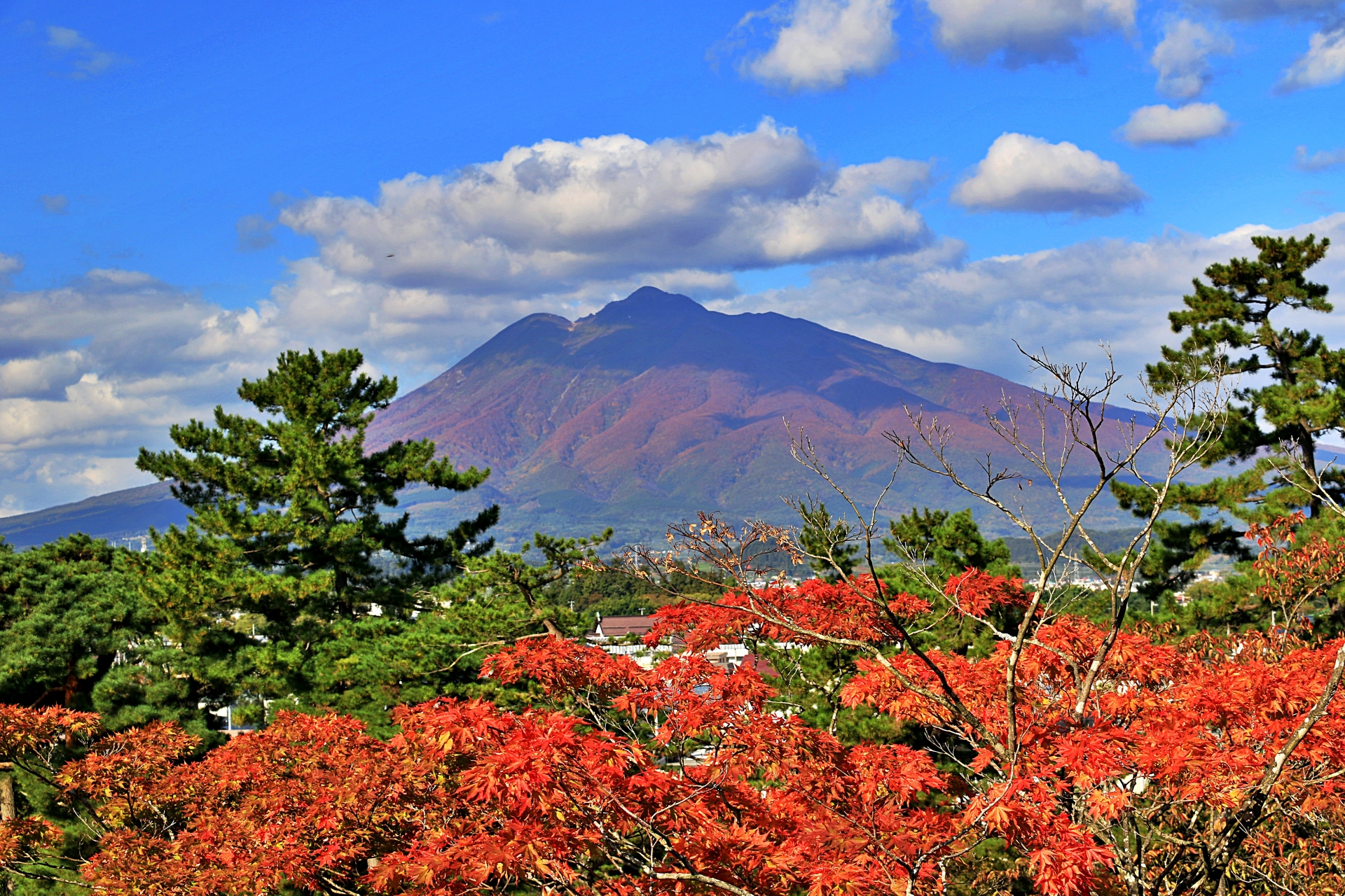 Feuilles d'automne et mont Iwaki