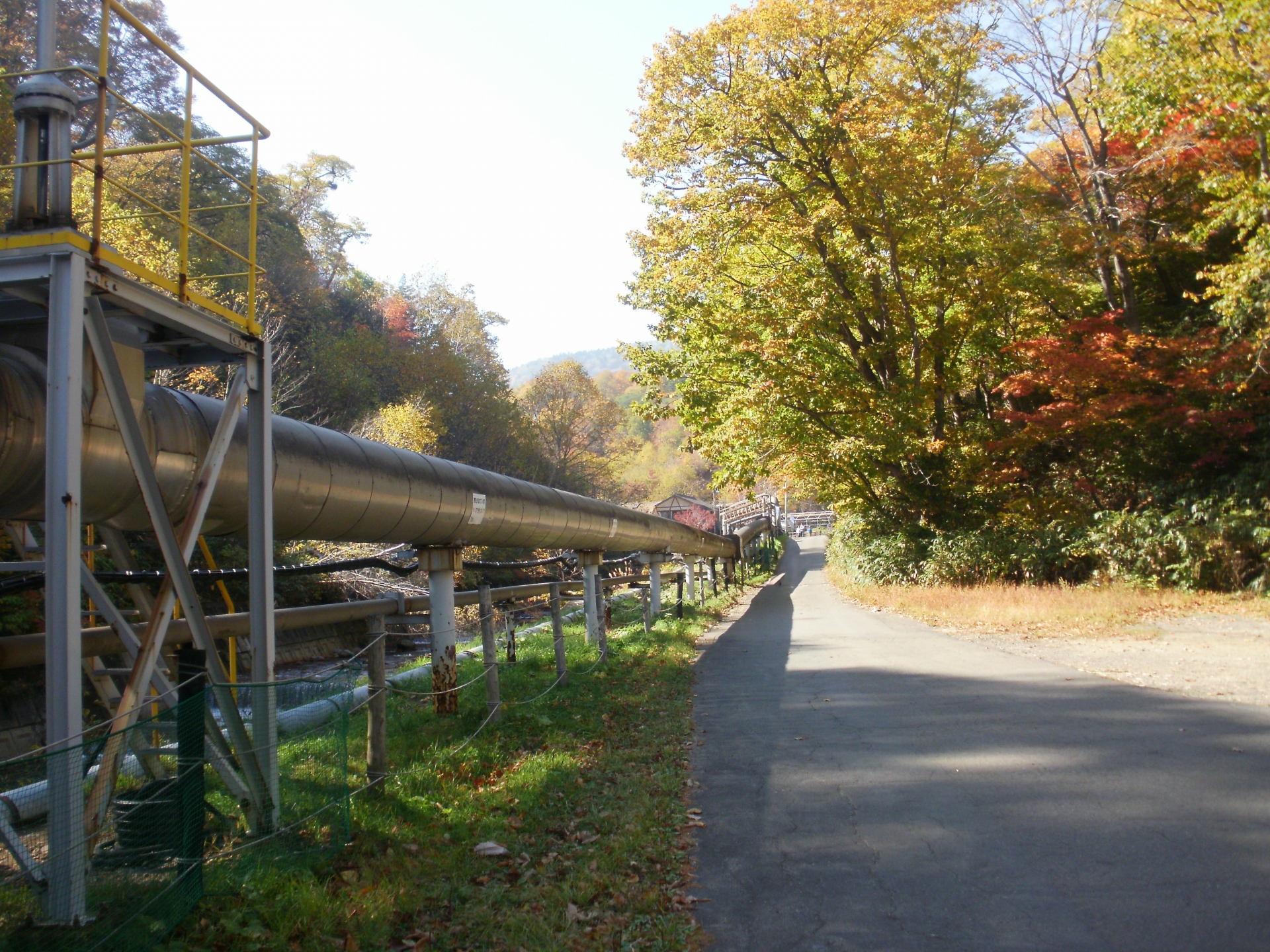 松川地熱発電所付近の紅葉