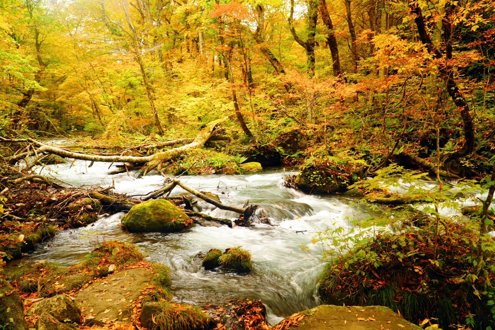 Ruisseau Oirase