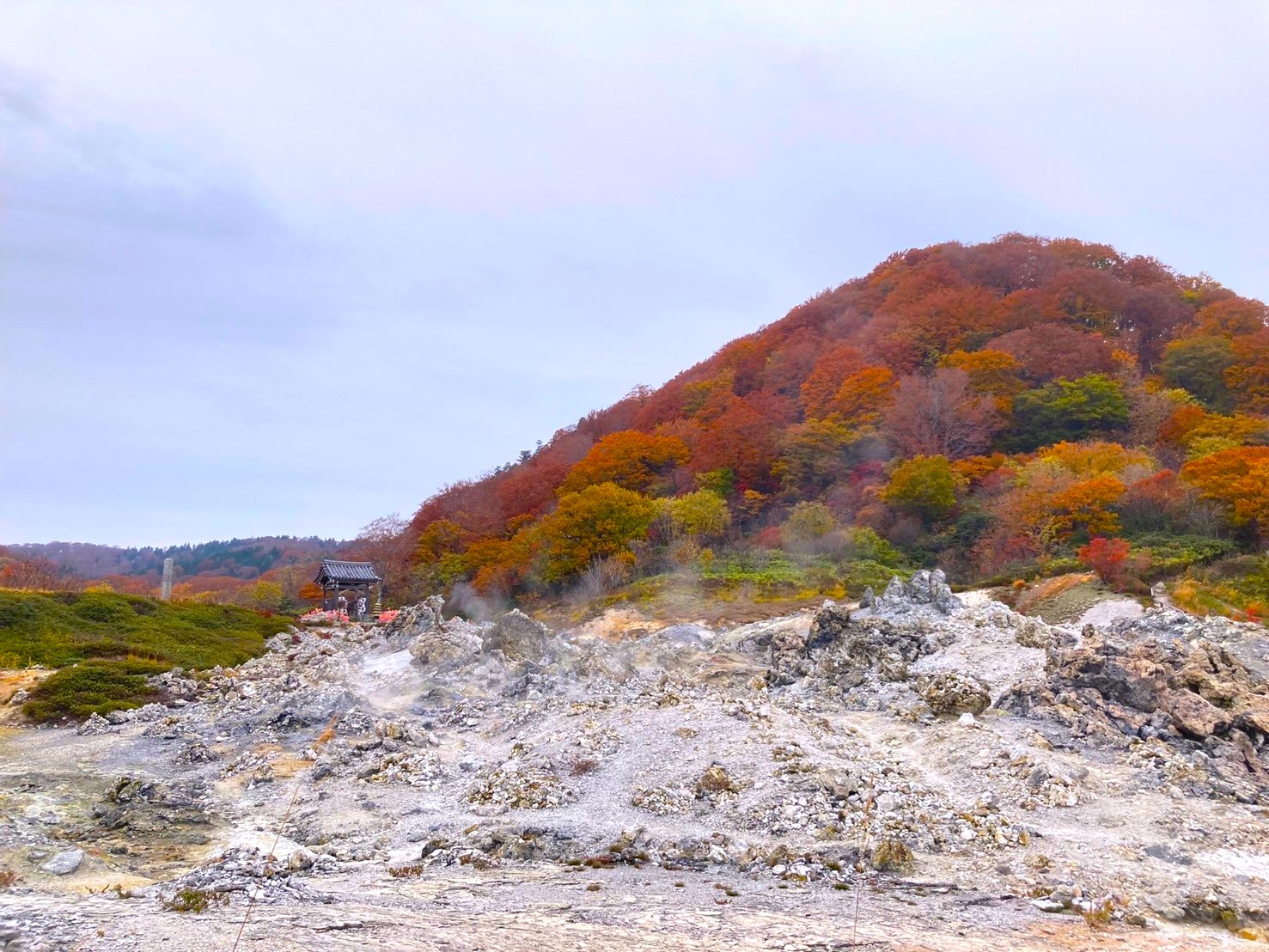 Feuilles d'automne au mont Osore