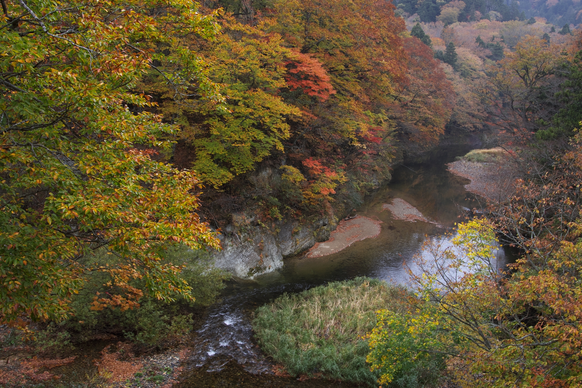 Feuilles d'automne à Yagen Gorge