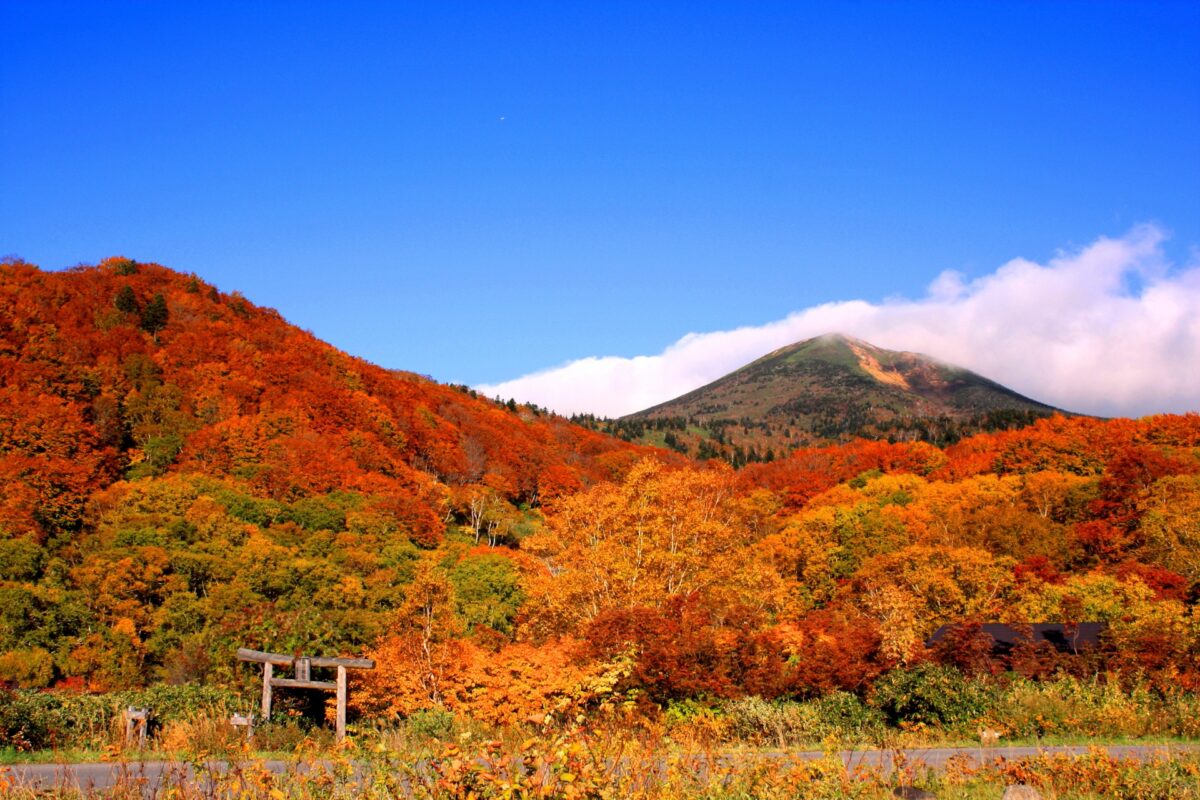 Feuilles d'automne à Sukayu Onsen à Hakkoda