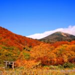 八甲田酸汤温泉的红叶