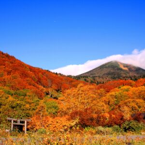 Feuilles d&#39;automne à Sukayu Onsen à Hakkoda