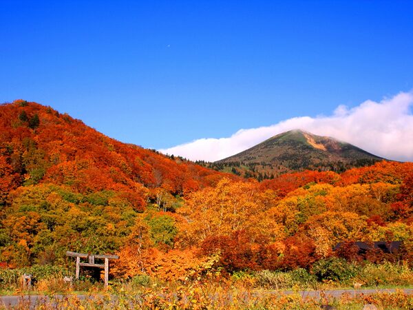 八甲田的苏卡尤温泉的秋叶