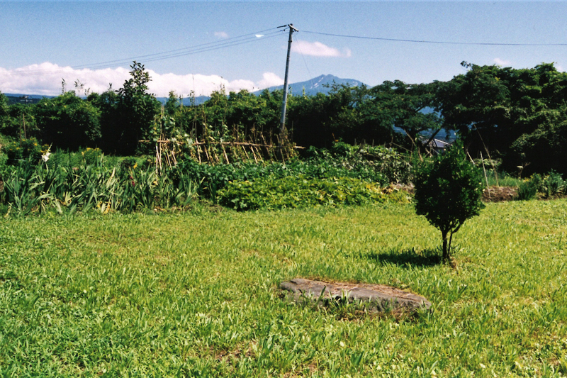 Shiokoshi Castle