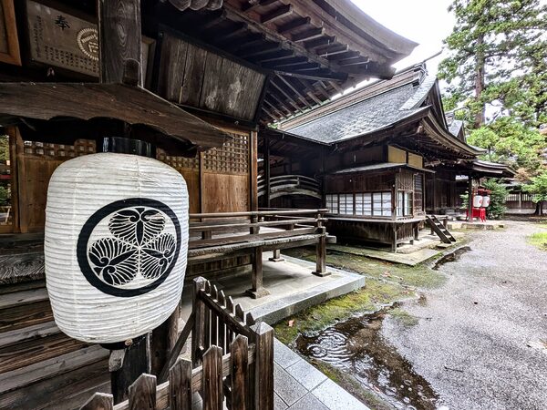 神紋「会津三ツ葵」