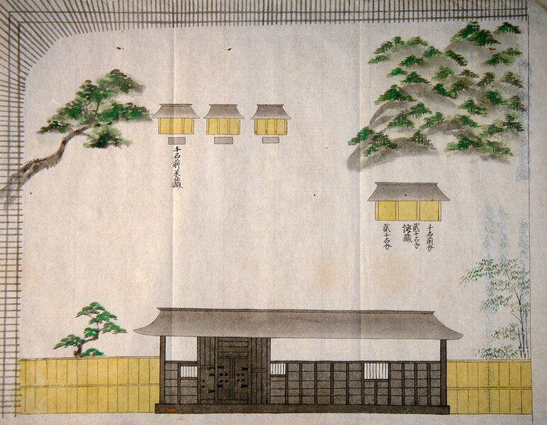 Nika Hojinya