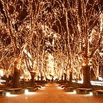 宮城キャッチ