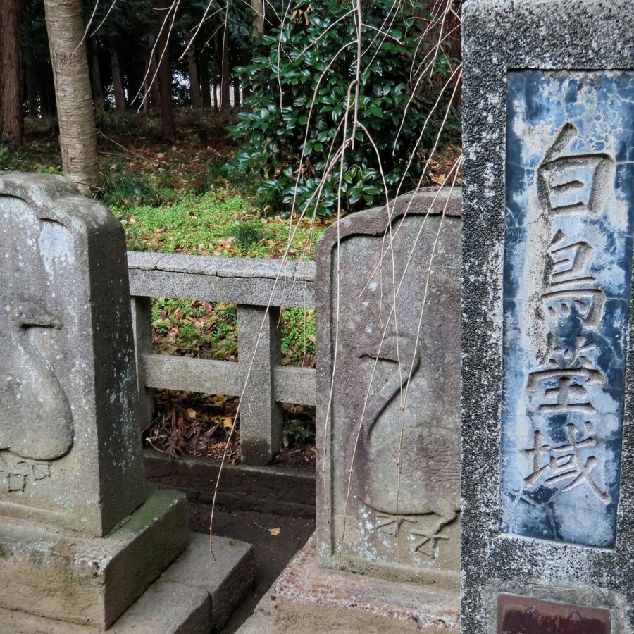백조 학원의 비