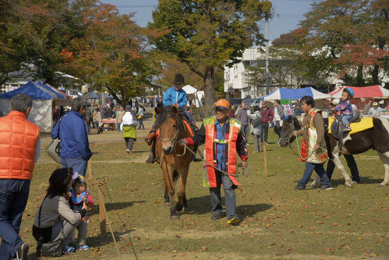 Towadakoma Festa