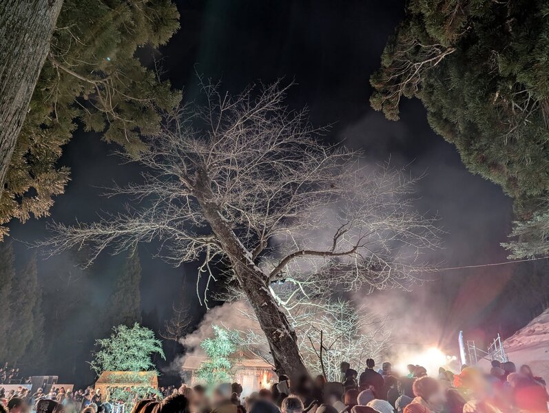 第62 Namahage Shiba Hill节(5)