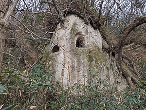 Atagoyama Horizontal Tombs (4)