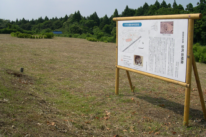 杉沢台遺跡
