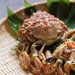 스파이크 게