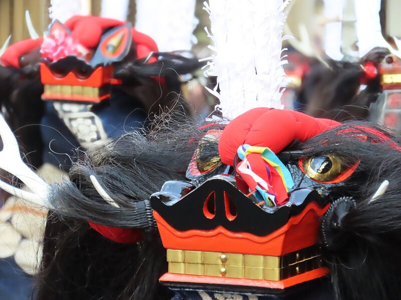Danza del Grupo Hyakudou (9)