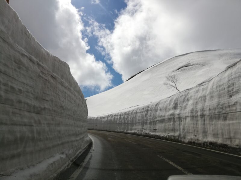 八幡平アスピーテライン「雪の回廊」