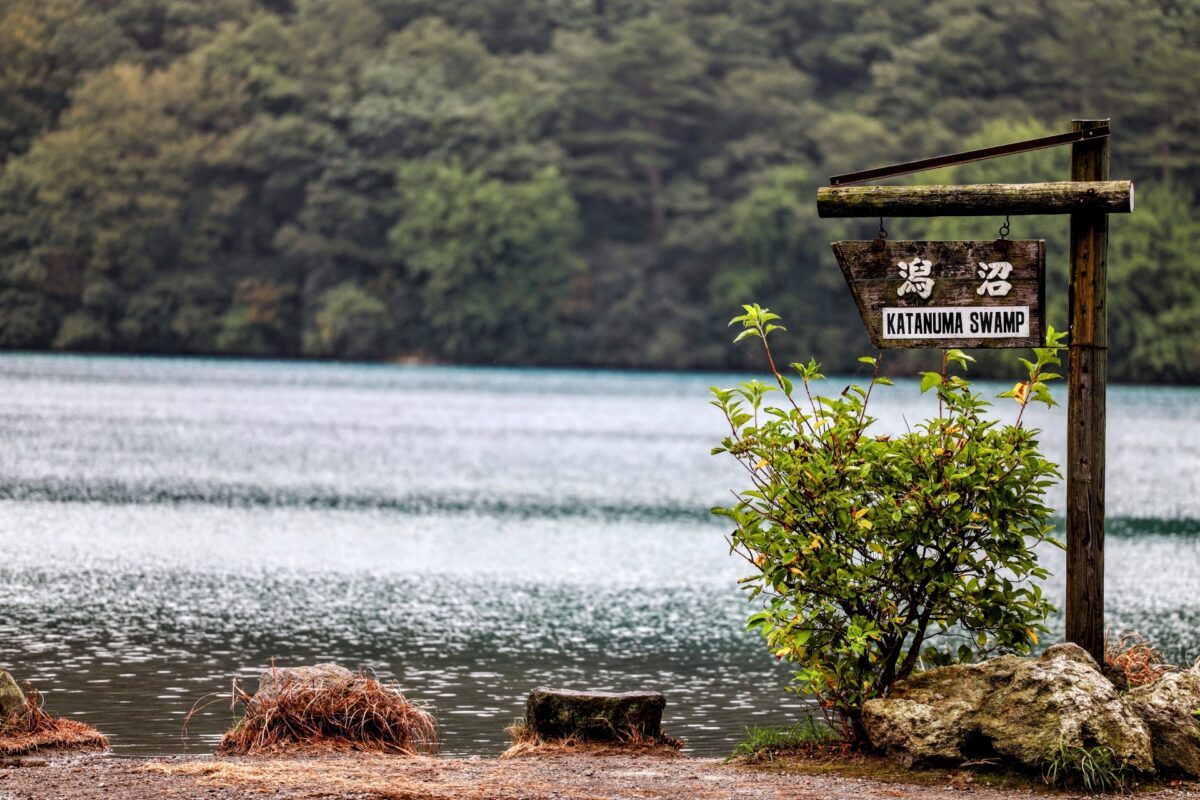 潟沼(かたぬま)