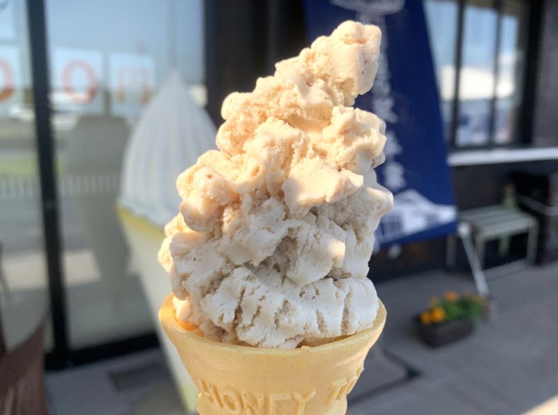 Gold Sesame Milk Soft