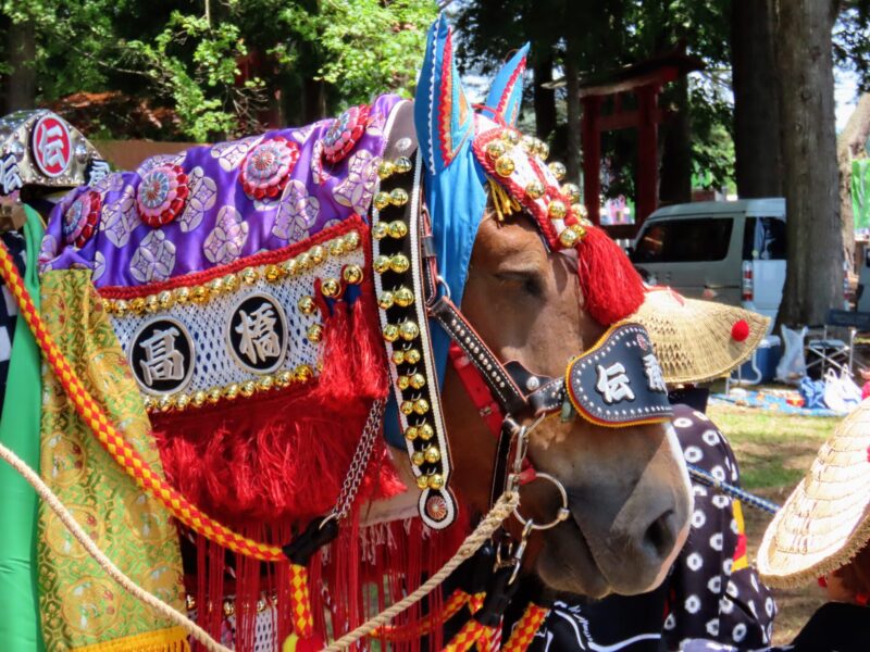 Sesión fotográfica de caballos de Chagu Chagu (2025.06.13) ③