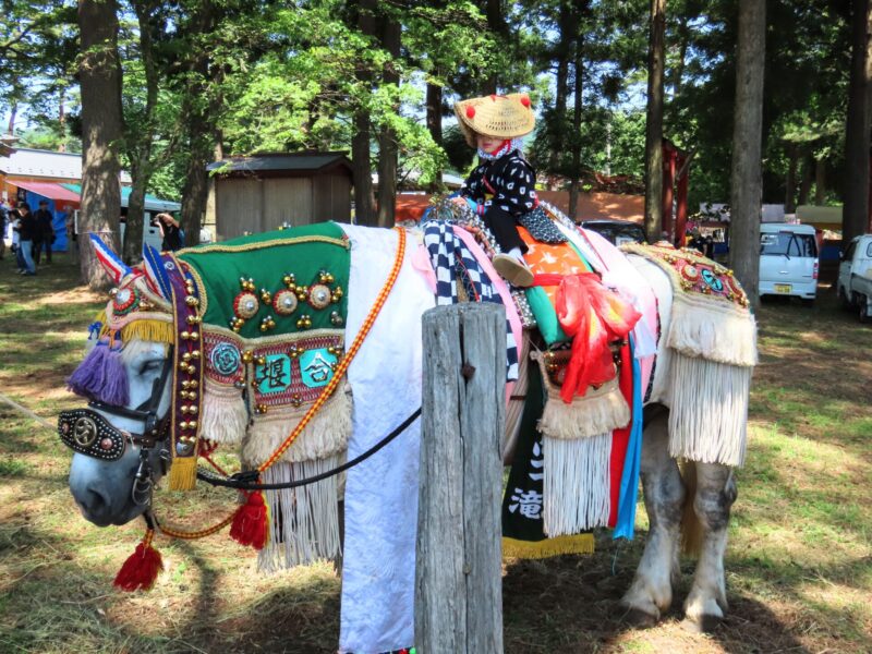 Sesión fotográfica de caballos de Chagu Chagu (2025.06.13) ②