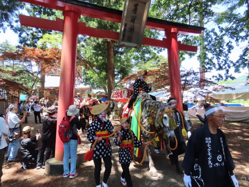 Sesión fotográfica de caballos de Chagu Chagu (2025.06.13) ⑤
