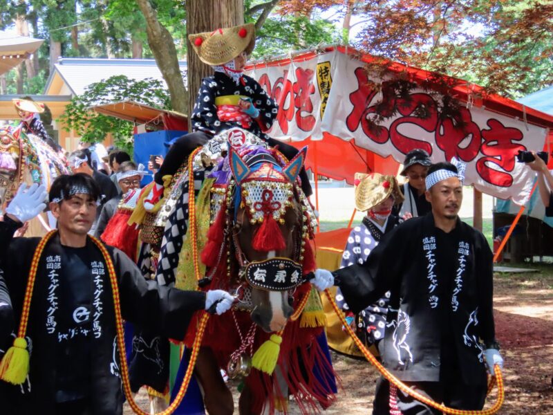 Sesión fotográfica de caballos de Chagu Chagu (2025.06.13) ⑥