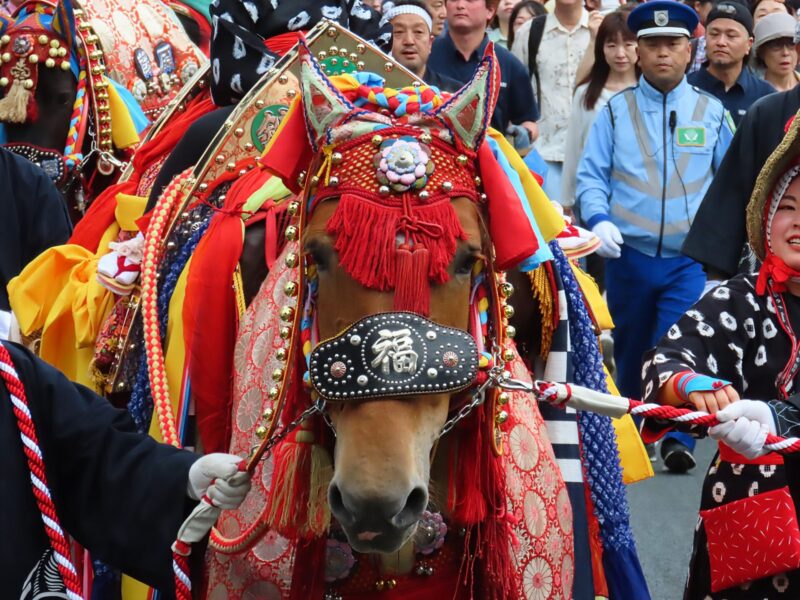 Caballo Chagu Chagu (2025.06.14) ⑨