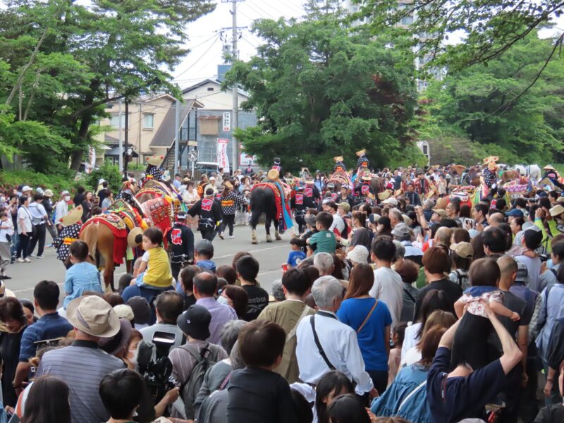 Horse Chagu Chagu (2025.06.14) 10