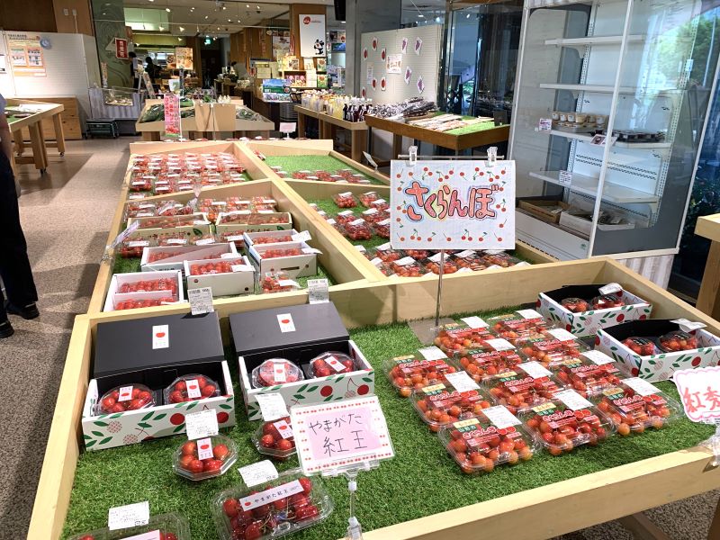 道の駅 むらやま