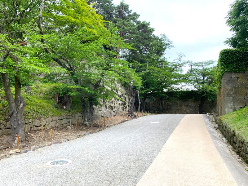 梅坂