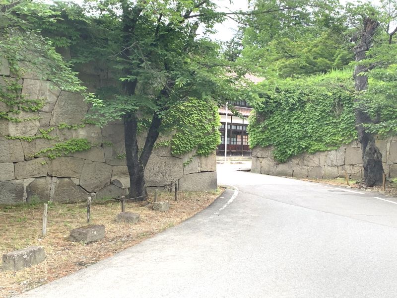 鏖丸