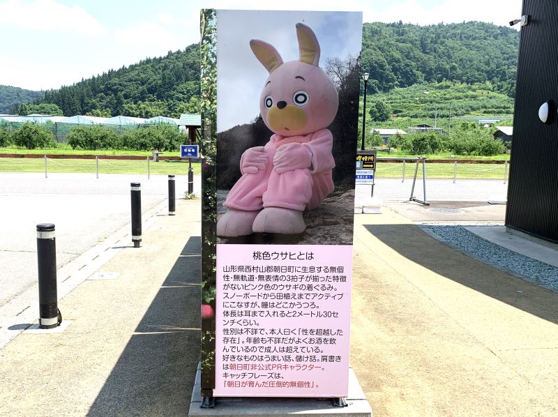 桃色ウサヒ