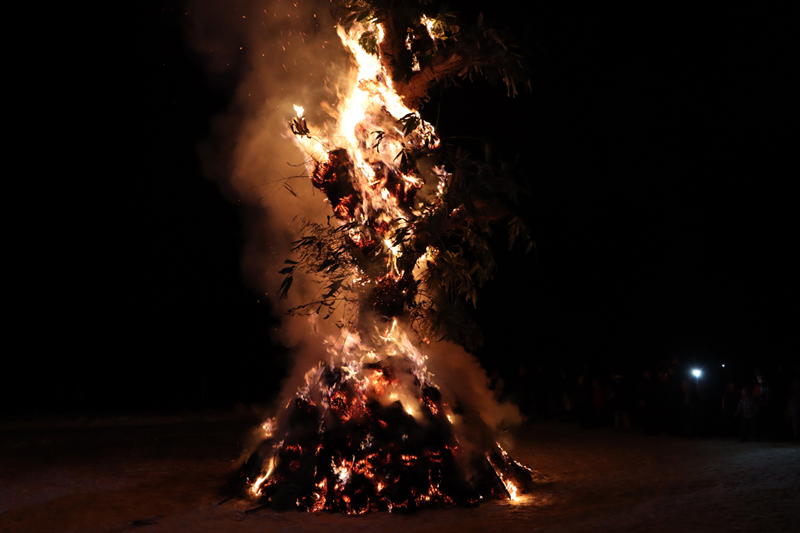 카츠 흑 불 축제 카마쿠라