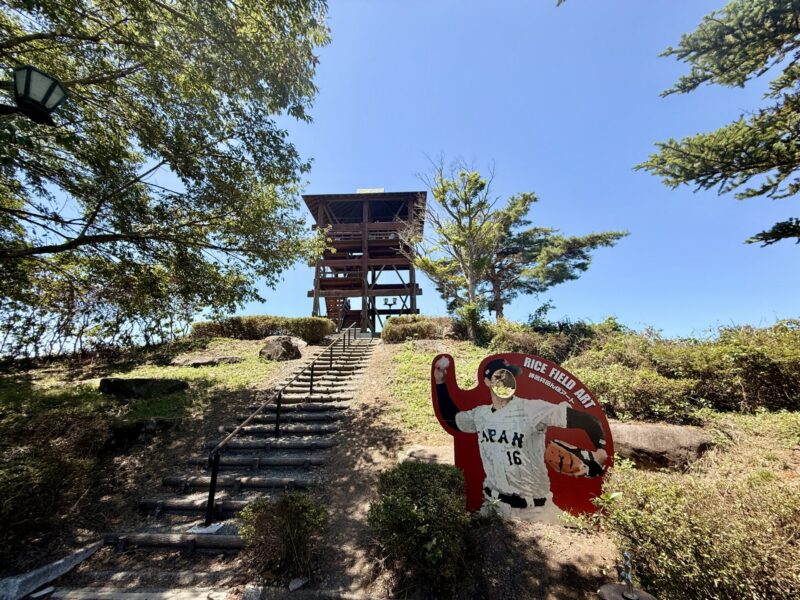 Art des rizières d'Atoroi