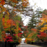 Higashishorakucho_Ciudad Semboku