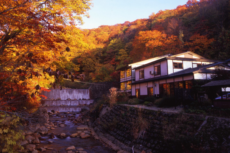 Taenoyu