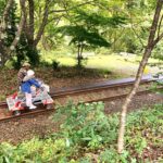 東北の鉄道廃線跡を楽しむ!レールバイクやトロッコで線路を走ってブルートレインに泊まれる小坂鉄道(前編)【秋田県】 レールバイク・キャッチ