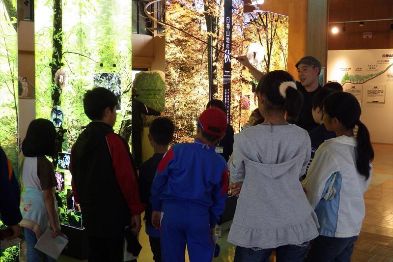 Centro del Patrimonio Mundial Shirakami-Sanchi