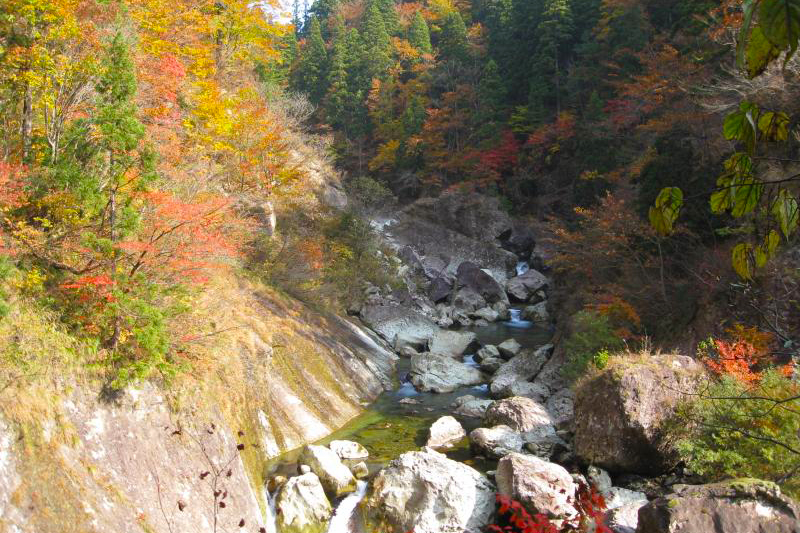 Garganta de Tara
