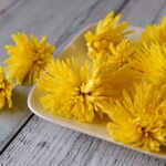 What is the edible chrysanthemum "Afang Palace"? Find out about the origins and recipes of this ingredient that colors autumn in Tohoku! 28592902_m