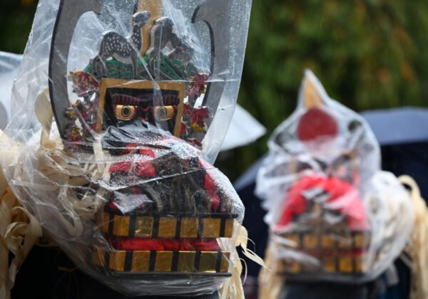 Sawame Lion Dance (Morioka City)
