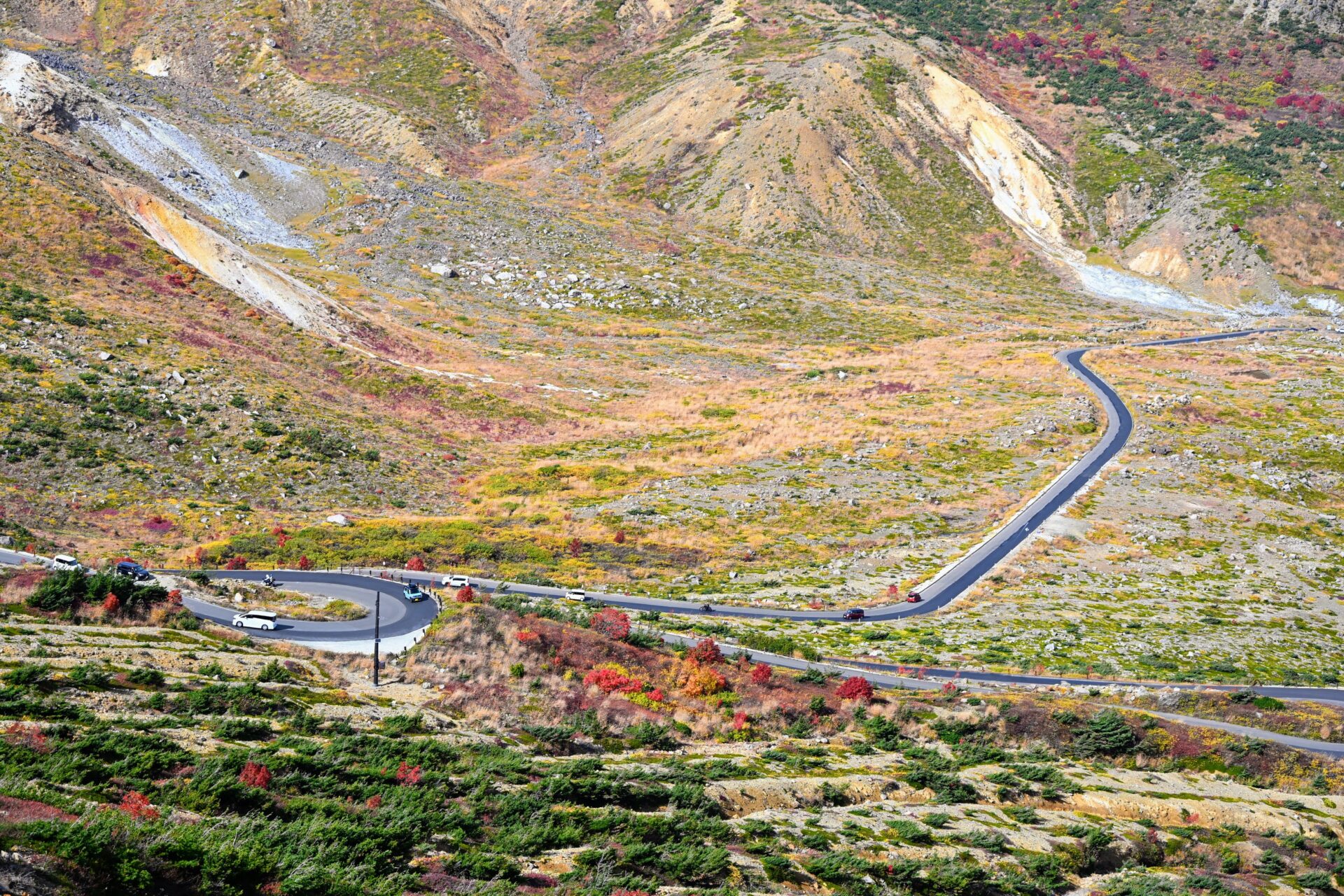 The 2025 autumn foliage season has arrived! Autumn foliage and