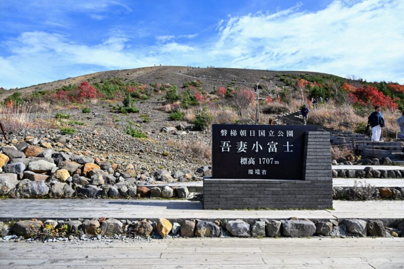 小藤东