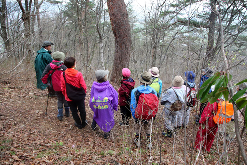 真户山赏花之旅