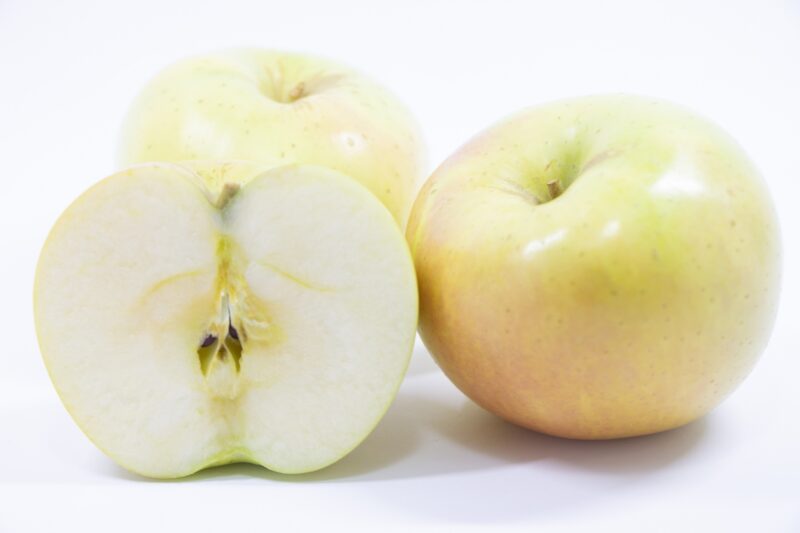 ibis à crête du Japon