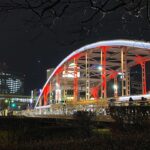 Morioka illuminations Catch 2