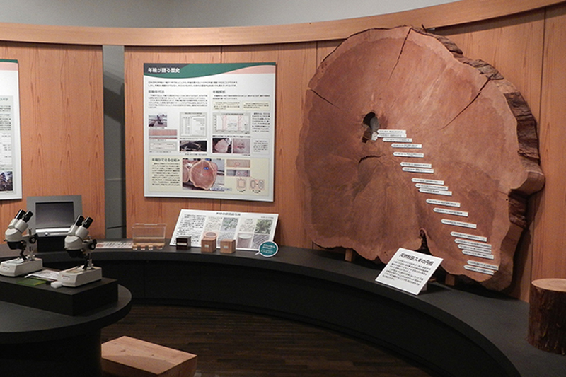 二别津森林博物馆