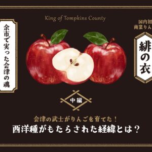 緋の衣（中編）